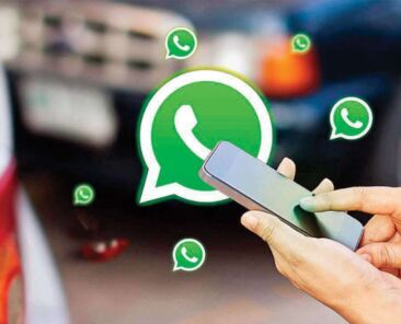 whatsapp number verification