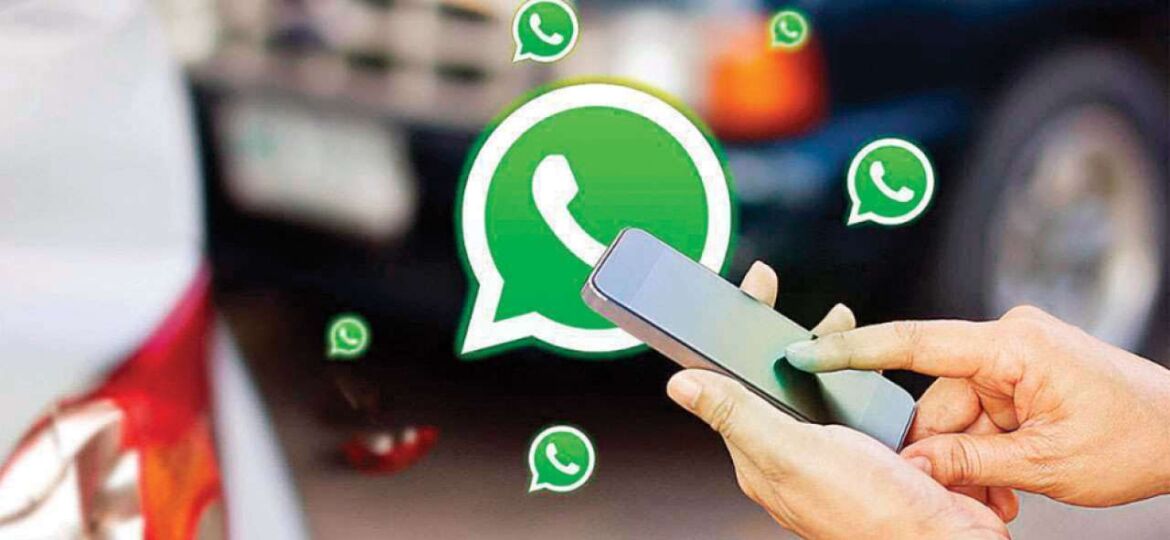 whatsapp number verification