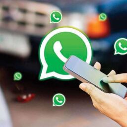 whatsapp number verification